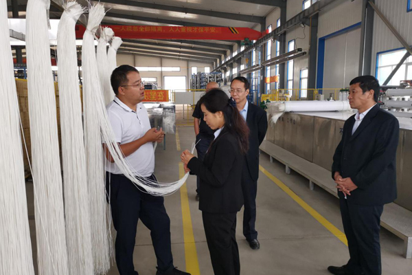 陕西航天建设集团有限公司总经理、党委副书记谢明娟率队赴辽宁开云app官方在线入口环保产业集团开展考察调研工作